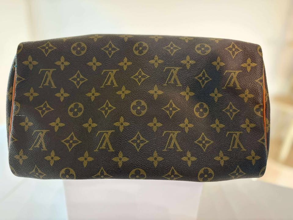 Louis Vuitton Speedy 30 Handbag