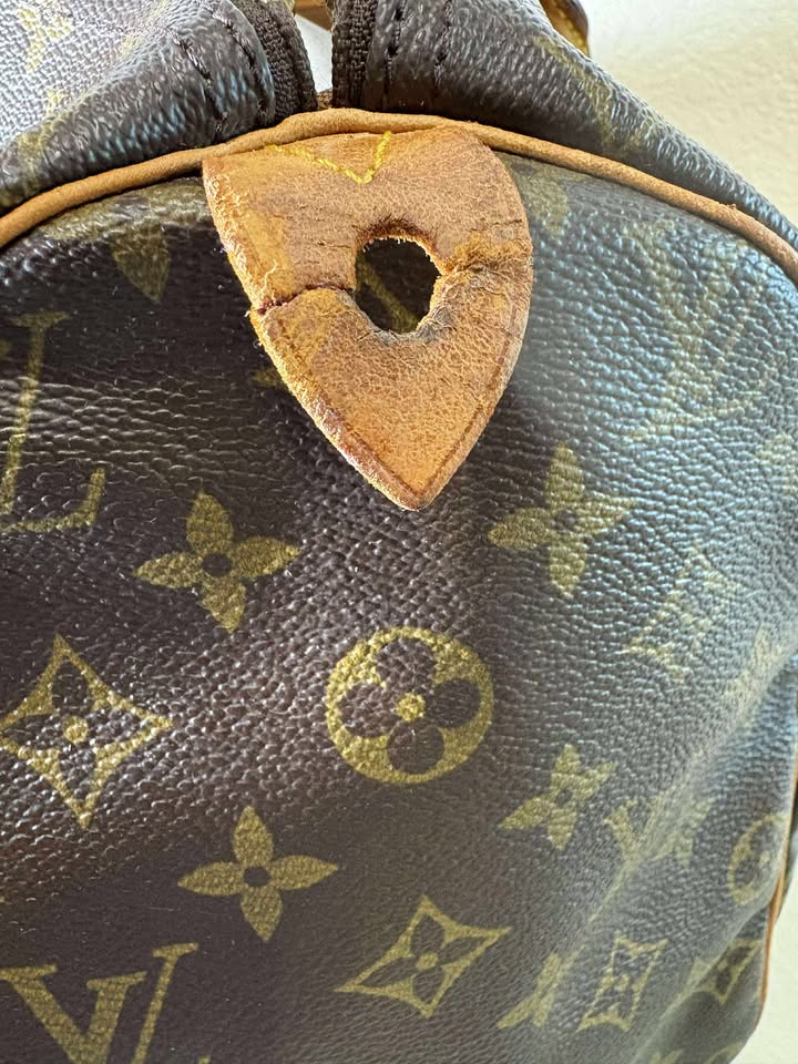 Louis Vuitton Speedy 40 Handbag